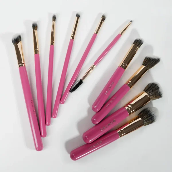 KIT BROCHAS SINGOLARE X10 MONTOC - Imagen 3