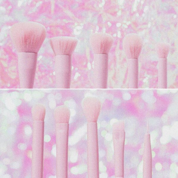 Set de brochas Sandia X10 Lula - Imagen 3